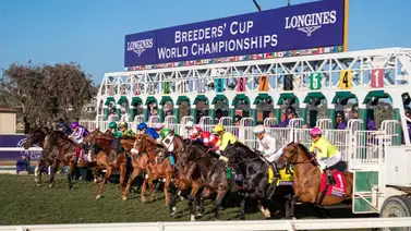 Breeder’s Cup: Cinco nuevos eventos para la serie de campeonato “Si ganas estas adentro” inician este domingo Breeder’s Cup: Cinco nuevos eventos para la serie de campeonato “Si ganas estas adentro” inician este domingo