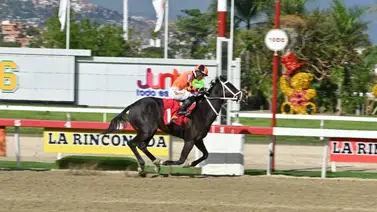Reaparece nieto de semental que dio un ganador del Clásico del Caribe luego de 105 días sin competir en La Rinconada Reaparece nieto de semental que dio un ganador del Clásico del Caribe luego de 105 días sin competir en La Rinconada