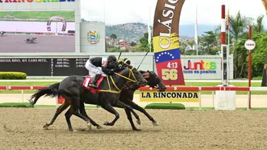 La sangre de Secretariat vuelve a La Rinconada tras 105 días de ausencia y estrena entrenador La sangre de Secretariat vuelve a La Rinconada tras 105 días de ausencia y estrena entrenador