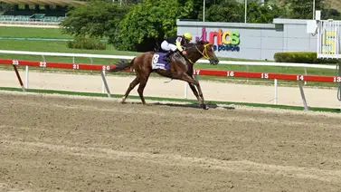 Ejemplar que ganó por última vez con Javier Castellano vuelve a la pista luego de 95 días en La Rinconada Ejemplar que ganó por última vez con Javier Castellano vuelve a la pista luego de 95 días en La Rinconada