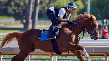 ¡Ya tiene nombre! el potro hijo de Flightline que costó $2.1 millones para el KAS Stables de Arabia Saudita ¡Ya tiene nombre! el potro hijo de Flightline que costó $2.1 millones para el KAS Stables de Arabia Saudita