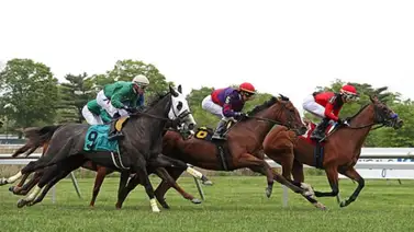 Datos claves: Conoce la previa de la Pegasus Stakes que clasifica al ganador directo al Haskell Stakes (G1) Datos claves: Conoce la previa de la Pegasus Stakes que clasifica al ganador directo al Haskell Stakes (G1)