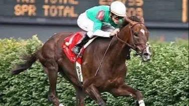 Breeders’ Cup: Sabias que Venezuela tuvo representada por un ejemplar criollo en el Campeonato Mundial de Criadores Breeders’ Cup: Sabias que Venezuela tuvo representada por un ejemplar criollo en el Campeonato Mundial de Criadores