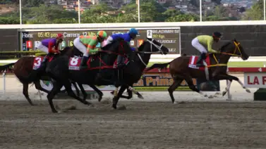 Nació para ser campeón: Hijo de un reconocido Doble Coronado y Caballo del Año debuta en el 5y6 de La Rinconada Nació para ser campeón: Hijo de un reconocido Doble Coronado y Caballo del Año debuta en el 5y6 de La Rinconada