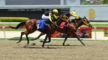 ¡Imperdible! Cómo ajustó la línea de Gaceta Hípica buscará decidir su primera victoria en el 5y6 dominical ¡Imperdible! Cómo ajustó la línea de Gaceta Hípica buscará decidir su primera victoria en el 5y6 dominical