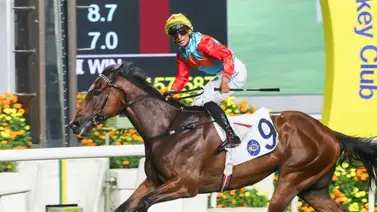 Actualizada la clasificación Longines de los Mejores Caballos de Carreras del Mundo Actualizada la clasificación Longines de los Mejores Caballos de Carreras del Mundo