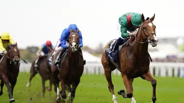 Se espera duelo épico entre Calandagan y Masquerade Ball en el Festival de Royal Ascot Se espera duelo épico entre Calandagan y Masquerade Ball en el Festival de Royal Ascot