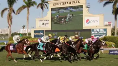 Pronósticos Gulfstream Park: picks gratis y el dato clave para el viernes 12 de junio Pronósticos Gulfstream Park: picks gratis y el dato clave para el viernes 12 de junio