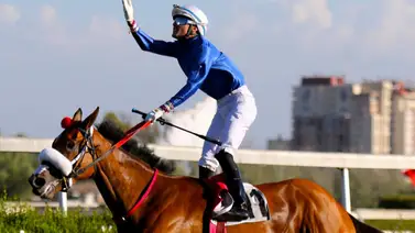 Primicia: El Haras Don Alberto gestiona una segunda invitación histórica para Japón Primicia: El Haras Don Alberto gestiona una segunda invitación histórica para Japón