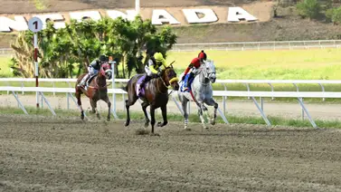 ¿Quieres ganar el 5y6? Estos son los ejemplares con mejor "Rating" en La Rinconada para sellar tu cuadro ¿Quieres ganar el 5y6? Estos son los ejemplares con mejor "Rating" en La Rinconada para sellar tu cuadro