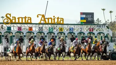 A continuación, se detallan las razones por las cuales Santa Anita suspendió su programa de carreras A continuación, se detallan las razones por las cuales Santa Anita suspendió su programa de carreras