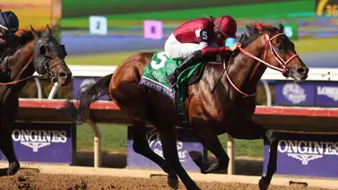 Forever Young es dueño de las apuestas futuras en el Ranking rumbo hacia la Breeders’ Cup 2026 Forever Young es dueño de las apuestas futuras en el Ranking rumbo hacia la Breeders’ Cup 2026