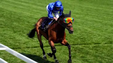 Conoce al caballo que llevará lentes de esquiar antes de correr en Royal Ascot Conoce al caballo que llevará lentes de esquiar antes de correr en Royal Ascot