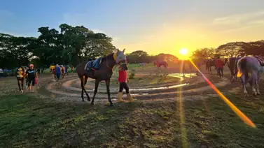 Hijo de un ganador del Clásico Simón Bolívar queda retirado de la R15 de Hinava por esta razón Hijo de un ganador del Clásico Simón Bolívar queda retirado de la R15 de Hinava por esta razón