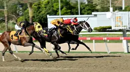 Clásico hípico para apostar en MeridianoBet este fin de semana