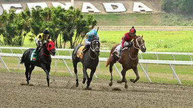 La Rinconada: El potro que puso a valer en su ajuste está listo para buscar el primer peldaño de la Triple Corona Nacional La Rinconada: El potro que puso a valer en su ajuste está listo para buscar el primer peldaño de la Triple Corona Nacional