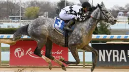 Javier Castellano gana el Cupecoy’s Joy Division Stakes con la invicta Celtic Dawn en Belmont at the Big A