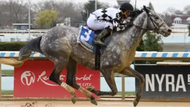 Javier Castellano gana el Cupecoy’s Joy Division Stakes con la invicta Celtic Dawn en Belmont at the Big A Javier Castellano gana el Cupecoy’s Joy Division Stakes con la invicta Celtic Dawn en Belmont at the Big A