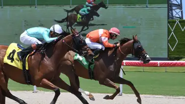 Leonel Reyes Ramos es el más destacado del sábado en el Royal Palm Meet Leonel Reyes Ramos es el más destacado del sábado en el Royal Palm Meet