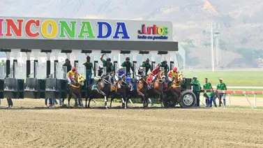 La Rinconada: Estos son los retirados de la reunión N°25 del 14-06-2026 La Rinconada: Estos son los retirados de la reunión N°25 del 14-06-2026