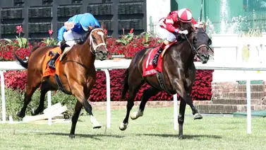 ¡Poder de punta a punta! Burnham Square conquista el Chorleywood Stakes en Churchill Downs con récord de pista ¡Poder de punta a punta! Burnham Square conquista el Chorleywood Stakes en Churchill Downs con récord de pista