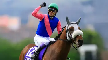 Meisho Tabaru vuelve a dominar el Takazuka Kinen (Gr1) y correrá en la Breeders´Cup de octubre en Keeneland Meisho Tabaru vuelve a dominar el Takazuka Kinen (Gr1) y correrá en la Breeders´Cup de octubre en Keeneland