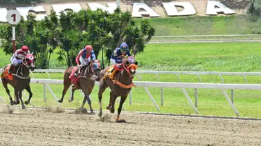 Jockey múltiple ganador de meetings es multado por exceso de peso en La Rinconada Jockey múltiple ganador de meetings es multado por exceso de peso en La Rinconada