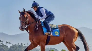 Mira como se ven 10 millones de dólares ejercitando sobre la pista de Santa Anita Park Mira como se ven 10 millones de dólares ejercitando sobre la pista de Santa Anita Park
