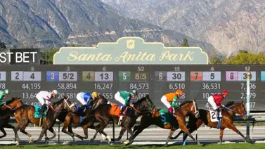 Conoce a los campeones del Hollywood Meet de Santa Anita Park Conoce a los campeones del Hollywood Meet de Santa Anita Park