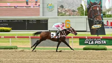 ¡Gran favorito! El invicto Gran Manuel va por su primer éxito selectivo en La Rinconada ¡Gran favorito! El invicto Gran Manuel va por su primer éxito selectivo en La Rinconada