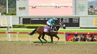¡Princesa Fina salta a la pista como la gran atracción del VI Clásico Bambera en La Rinconada! ¡Princesa Fina salta a la pista como la gran atracción del VI Clásico Bambera en La Rinconada!