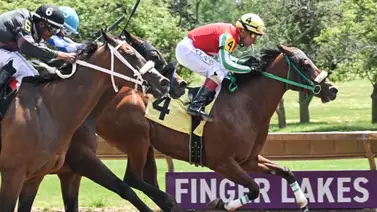 Jockey venezolano arrasa y es el más valioso de la doble jornada en New York Jockey venezolano arrasa y es el más valioso de la doble jornada en New York