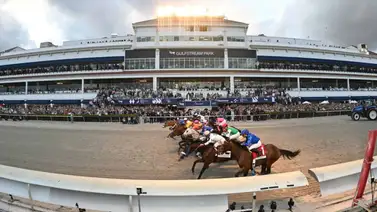 Un importado de lujo: Caballo que fue entrenado por Todd Pletcher hace su debut en La Rinconada Un importado de lujo: Caballo que fue entrenado por Todd Pletcher hace su debut en La Rinconada