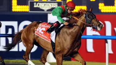 Linaje de oro en La Rinconada: Nieta de un ganador de la Dubai World Cup debuta en una de las selectivas de Grado de la R26 Linaje de oro en La Rinconada: Nieta de un ganador de la Dubai World Cup debuta en una de las selectivas de Grado de la R26