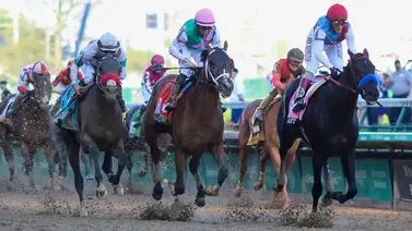 ¡Joya en el 5y6! Hija de ganador del Kentucky Derby se alista para debutar en La Rinconada ¡Joya en el 5y6! Hija de ganador del Kentucky Derby se alista para debutar en La Rinconada