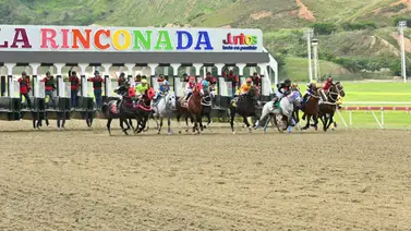La Rinconada: Favoritos de la cátedra para el 5y6 Nacional de la reunión N°26 La Rinconada: Favoritos de la cátedra para el 5y6 Nacional de la reunión N°26