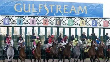 Pronósticos Gulfstream Park: picks gratis y el dato clave para el viernes 19 de junio Pronósticos Gulfstream Park: picks gratis y el dato clave para el viernes 19 de junio