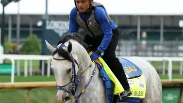 Mira el tiempo que hizo White Abarrio en su trabajo final para el Stephen Foster Stakes (G1) Mira el tiempo que hizo White Abarrio en su trabajo final para el Stephen Foster Stakes (G1)
