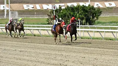 Fórmula ganadora: La línea de Gaceta Hípica es el pilar para definir el 5y6 de este domingo en La Rinconada Fórmula ganadora: La línea de Gaceta Hípica es el pilar para definir el 5y6 de este domingo en La Rinconada
