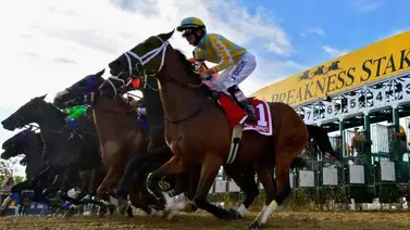 Los derechos del Preakness retornan a Maryland. Ya no serán del Grupo Churchill Downs Los derechos del Preakness retornan a Maryland. Ya no serán del Grupo Churchill Downs