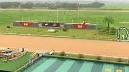 Datos de última hora para el Hipódromo Nacional de Valencia 20-6-2026