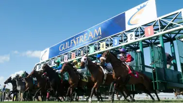 Pronósticos Gulfstream Park: picks gratis y el dato clave para el sábado 20 de junio Pronósticos Gulfstream Park: picks gratis y el dato clave para el sábado 20 de junio
