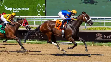 Samy Camacho duplica y se mantiene líder en dinero generado en Gulfstream Park Samy Camacho duplica y se mantiene líder en dinero generado en Gulfstream Park