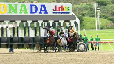 La Rinconada: Esta es la razón por la cual la Junta de Comisarios multó a un entrenador en la primera competencia La Rinconada: Esta es la razón por la cual la Junta de Comisarios multó a un entrenador en la primera competencia