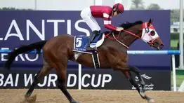 Forever Young viajará a New York para correr en el nuevo Belmont Park en un Stakes de $1 millón de dólares