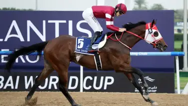 Forever Young viajará a New York para correr en el nuevo Belmont Park en un Stakes de $1 millón de dólares Forever Young viajará a New York para correr en el nuevo Belmont Park en un Stakes de $1 millón de dólares
