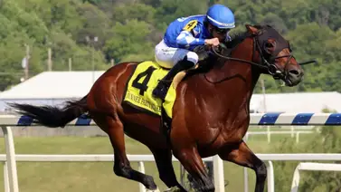 Fort Washington busca la gloria sobre el césped en el Wise Dan Stakes (G2) de Churchill Downs Fort Washington busca la gloria sobre el césped en el Wise Dan Stakes (G2) de Churchill Downs