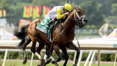 Skippylongstocking ganador de la Pegasus World Cup (G1) tiene fecha para su próxima carrera Skippylongstocking ganador de la Pegasus World Cup (G1) tiene fecha para su próxima carrera