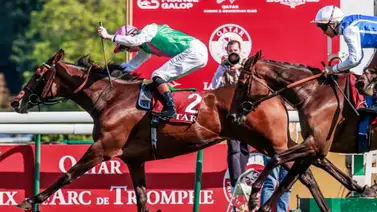 Caballos castrados podrán correr la prueba más rica de Europa Caballos castrados podrán correr la prueba más rica de Europa