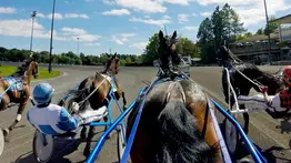 Saratoga rendirá homenaje póstumo a los caballos fallecidos en el trágico incendio